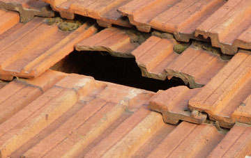 roof repair Sarnesfield, Herefordshire